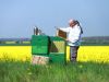 Imker Richard Kowitz aus Werder (Havel) bei der Arbeit an den Bienenkästen
